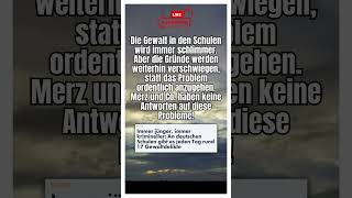 Gewalt an Schulen eskaliert #shorts #shortsfeed #shortvideo #afd #politik #deutsch #foryou #schule