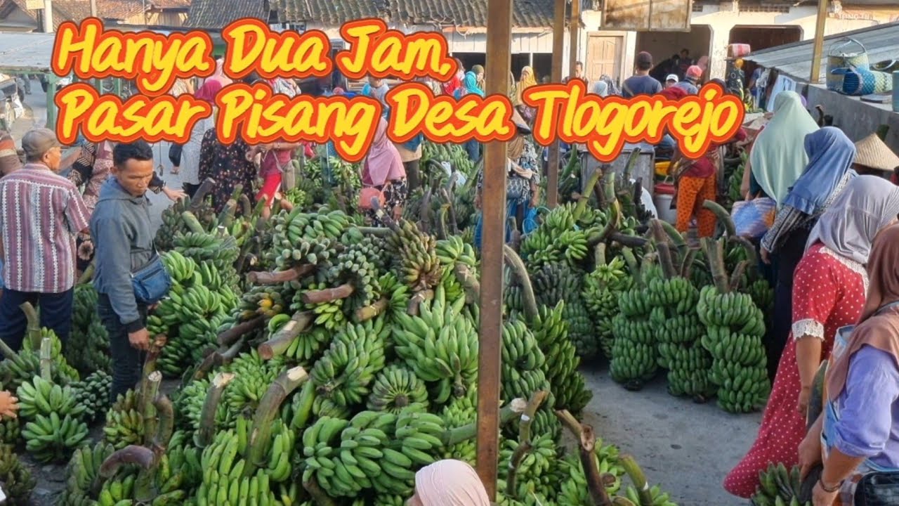 Hanya Dua Jam, Pasar Pisang Desa Tlogorejo #pisang #pasar #desa #tlogorejo #demak