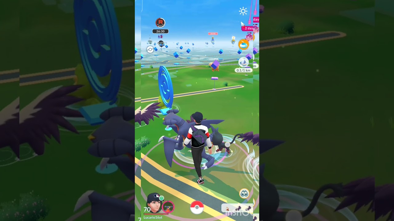 what a beautiful shiny litten found in wild