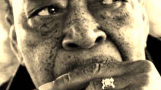 Video thumbnail of "James Cotton-Living The Blues"