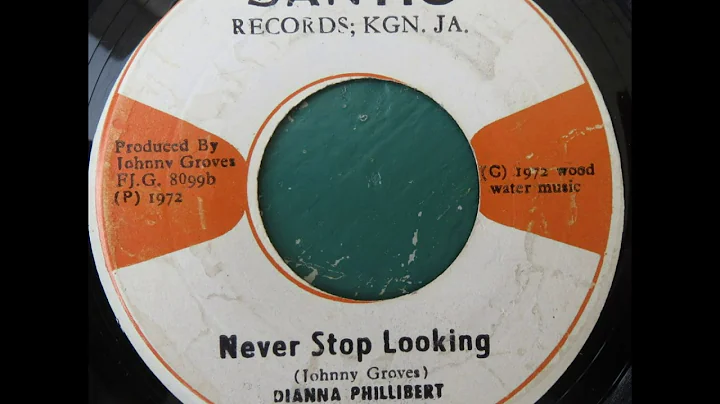 dianna phillibert  - never stop looking