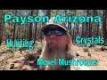 Payson Arizona Crystal and Morel Mushroom Hunting