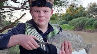 Grunter and golden perch fishing with hot dogs and cheese (callop, yellowbelly)