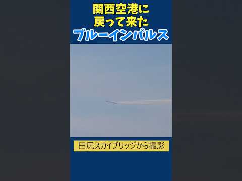 関西空港に戻って来たブルーインパルス#shorts #ブルーインパルス #万博