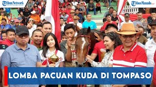 Lomba Pacuan Kuda di Tompaso, Perebutkan Piala Bupati dan Wakil Bupati Minahasa