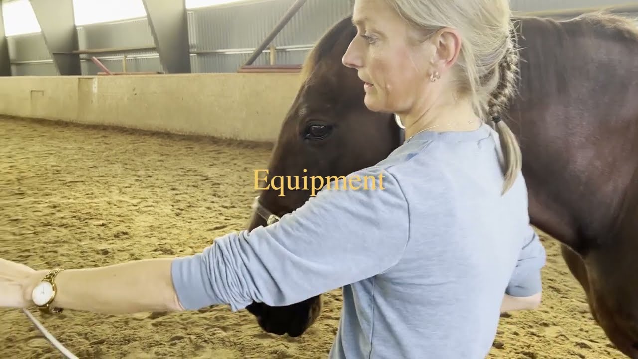 Online course – Horse Equipment