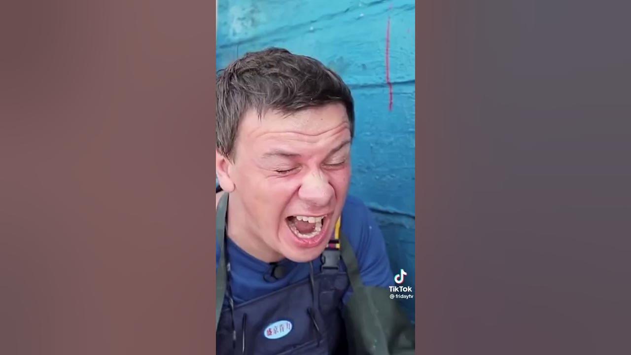 На какие вершины поднимался Дмитрий комаров
