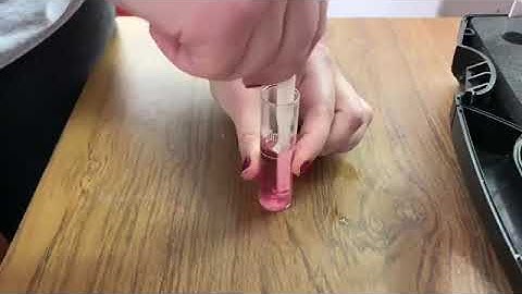 Chlorine & pH Palintest