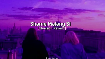Shame Malang Si [ slowed + Reverb ] || Arijit singh || @beatsound6160