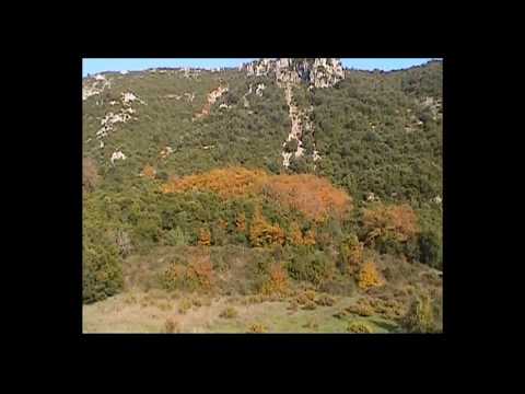 Μελωδικό απόγευμα ~
