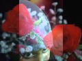 نشيد بني الاسلام على خمس Arabic And Turkish نشيد بني الاسلام على خمس Arabic And Turkish