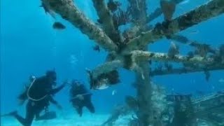Key Largo(FL-USA)John Pennekamp State Park-Anchor Chain Reef-Horizon Divers.Tartaruga.Lagosta.Abr/24