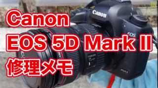 Canon EOS 5D Mark II body and lens repair - YouTube