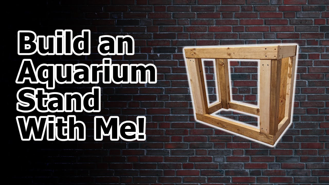 I Built a Stand for a 40 Gallon Breeder Aquarium - Here's How!