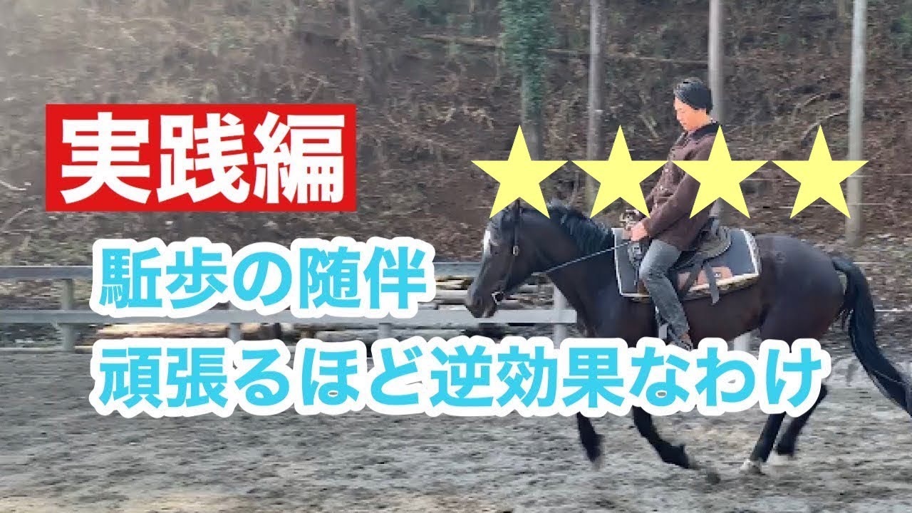 95.駈歩でお尻が浮く理由を検証・随伴頑張り過ぎると逆効果なわけ【実践編】