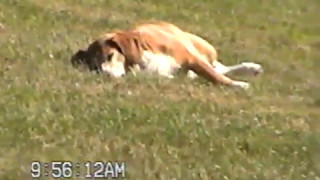 July 15, 2001 to June 12, 2002.
