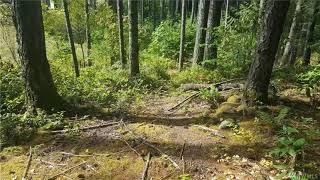 Real Estate for Sale 18425 Rampart Dr SE, Yelm, WA 98597