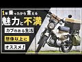 CT125ハンターカブに1年乗ったインプレ|魅力と不満を正直に話します!