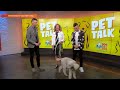 Pet Talk: How pets may support a longer, healthier life