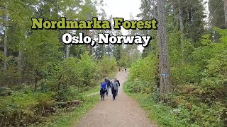 Full Walking and hiking in Oslo, Norway | Vettakollen Station to Nordmarka Forest Update