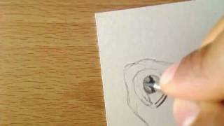 ACEO Turtle Pencil Drawing