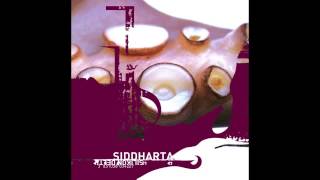 Siddharta - B Mashina - Laibach RMX (Silikon Delta, 2002)