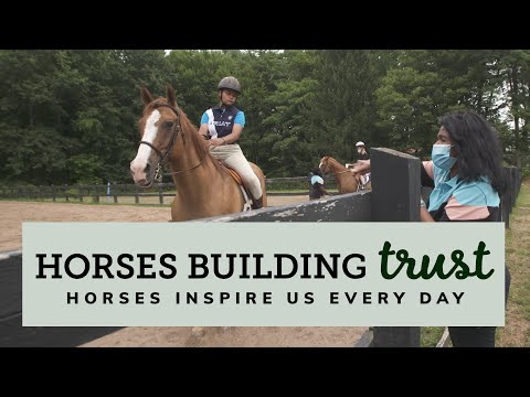 Horses Building Trust