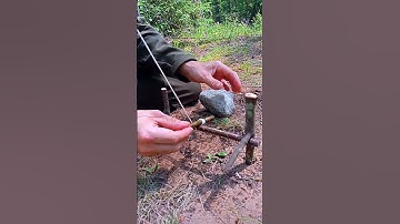 TRAP THE BEAST IF YOU GET LOST IN THE FOREST  #survival #trap #bushcraft #hunting