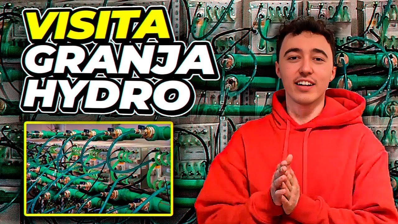 Visitando Una Granja de Minería de Bitcoin Hydro (12.000$ al mes💸 ...
