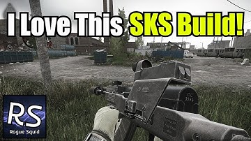 I love this SKS Build! - Escape From Tarkov