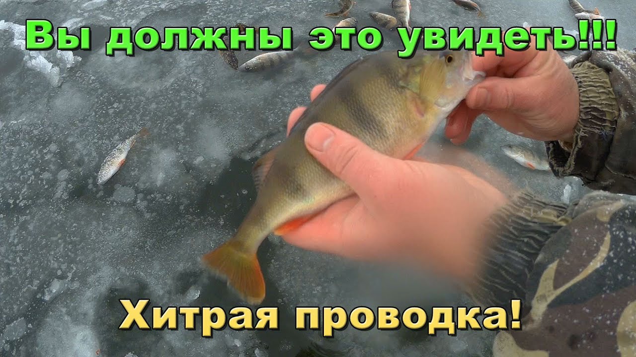 Куда течет ока