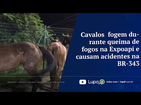 Cavalos fogem durante queima de fogos na Expoapi e causam acidentes na BR-343