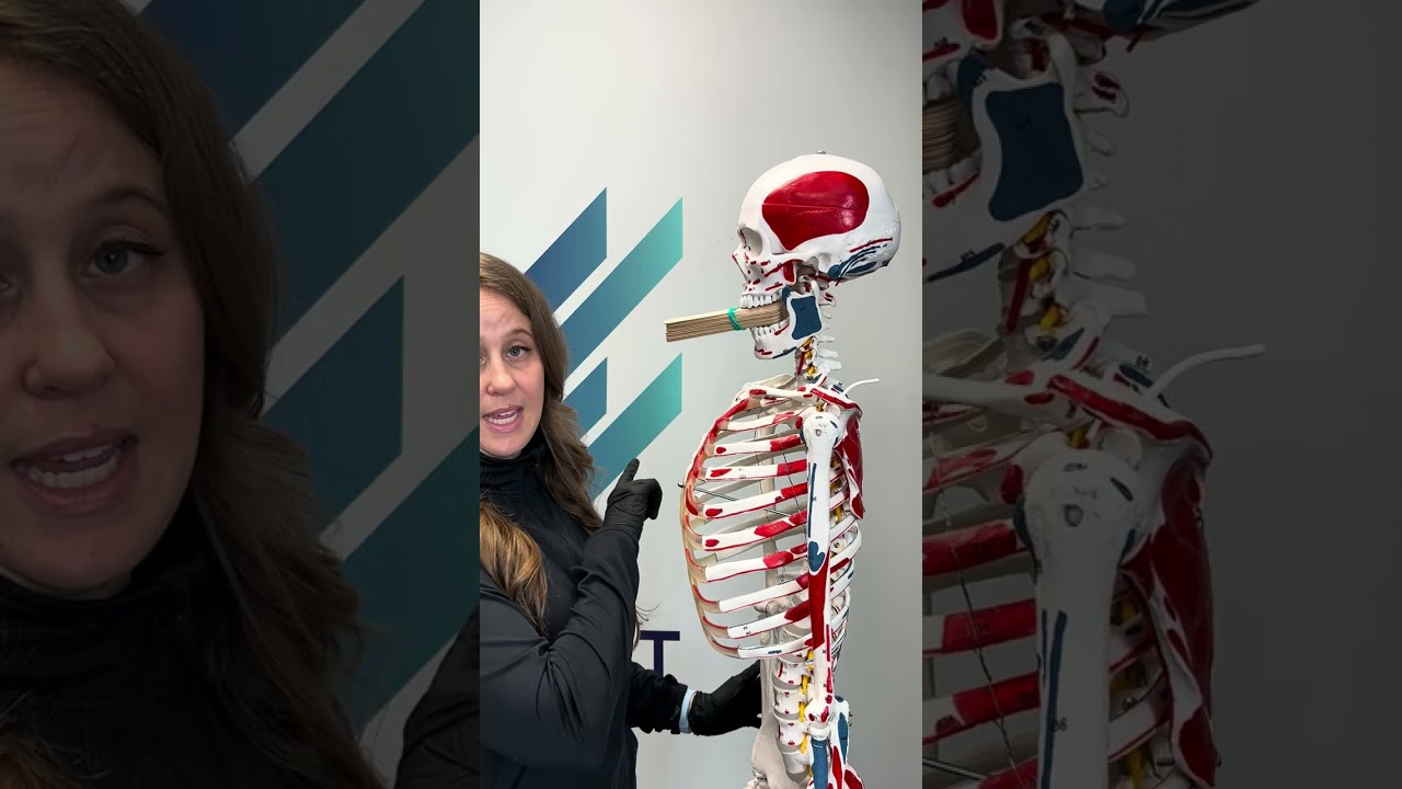 Lateral Pterygoid Self Massage