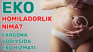 EKO NIMA? EKO QANDAY QILINADI? BEPUSHTLIKNI ZAMONAVIY DAVOSI / ЭКО НИМА? БEПУШТЛИК ЗАМОНАВИЙ ДАВОСИ