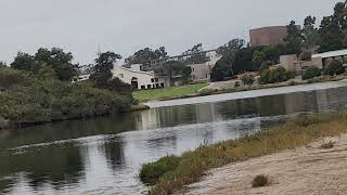 nam goes back to ucsb for an AMAZING reason