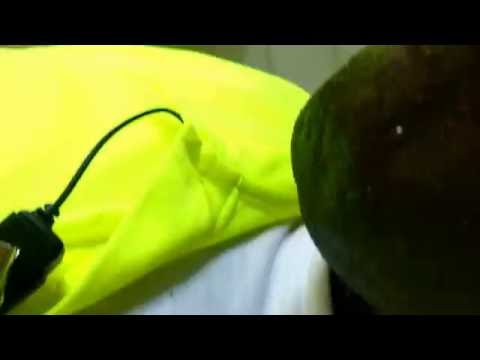 Stonebridge Restaurant, 50 Daniel Street, Milford, CT   bouncer assault 8 20 16