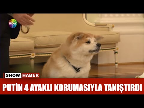 Putin 4 ayaklı korumasıyla tanıştırdı