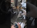 #Air conditioning capacitor #start capacitor #CBB65 capacitor