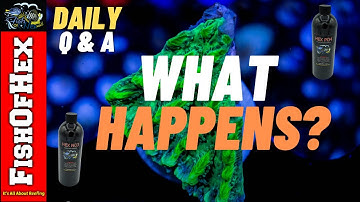 Am I Dosing Nitrates And Phosphates Too Quickly? | Daily Q&A