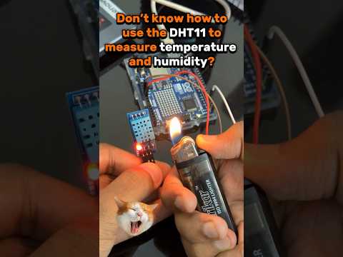 Temperature & Humidity