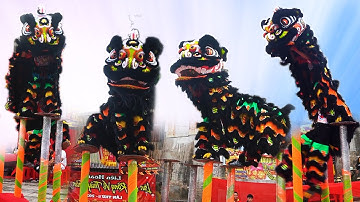 Múa Lân Hay Nhất 2025 LSR Tài Anh Đường liên hoan Lân Sư Rồng Vệ Thủy Thần Miếu