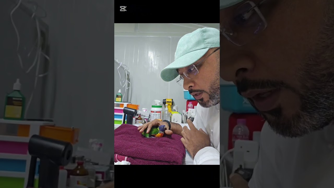 لوري رافض الاكل و السبب انه ينغر غلط 