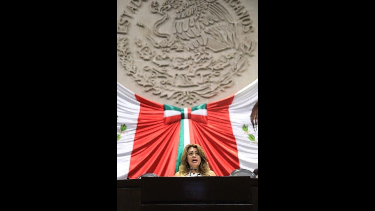 Dip. Karina Rojo (PT) - A favor del dictamen sobre Reforma Educativa reformation sample sale