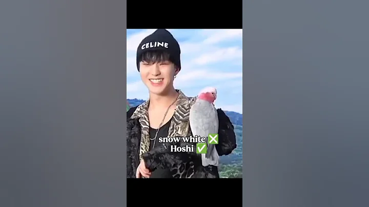 Hoshi is real life snow white 😭✨#hoshi#seventeen#svt#carat#shorts#fyp#reels#trending#dk#dino#kpop