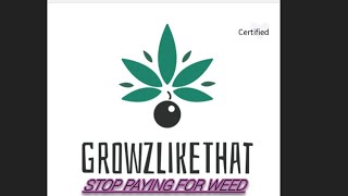 Week 2 of Flower #grow #cannabisgrowers