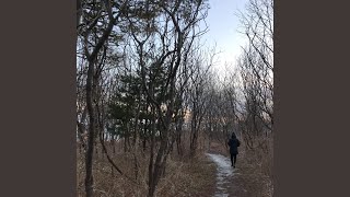 Lost