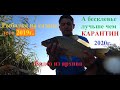 Видео из архива! а бесклевье лучьше чем карантин!