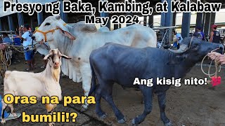 May 10, 2024 Presyo ng Baka, Kambing, at Kalabaw | Dji Osmo Action 4 | Livestock Farming