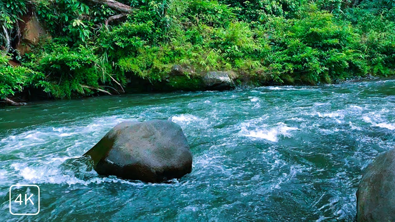 RIVER AMBIENCE FOR SLEEPING, READING & PEACEFUL MIND, STREAMING PEACEFUL RIVER WATER
