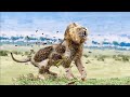 10 ऐसे जानवर जो शेर को आसानी से मार सकते है 10 Animals That Can Kill a Lion Easily
